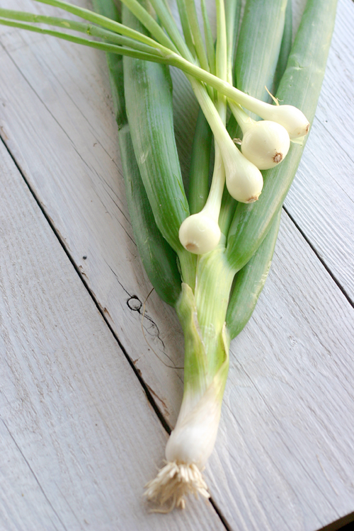 Scallions and baby onions