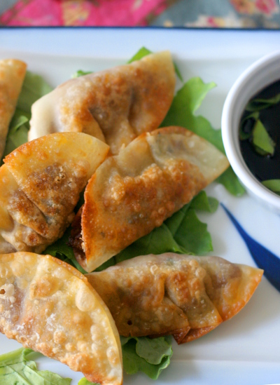 Turkey and kale dumplings vertical