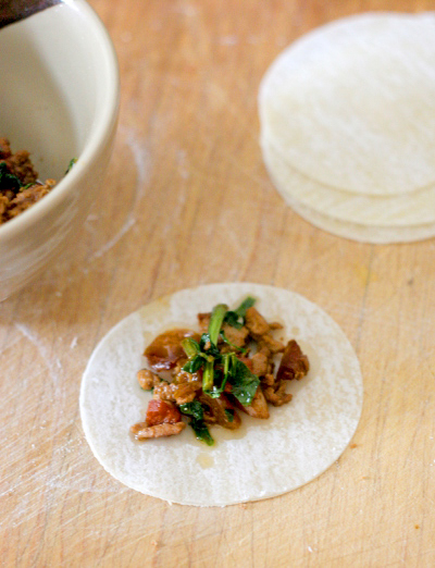 Turkey dumpling final