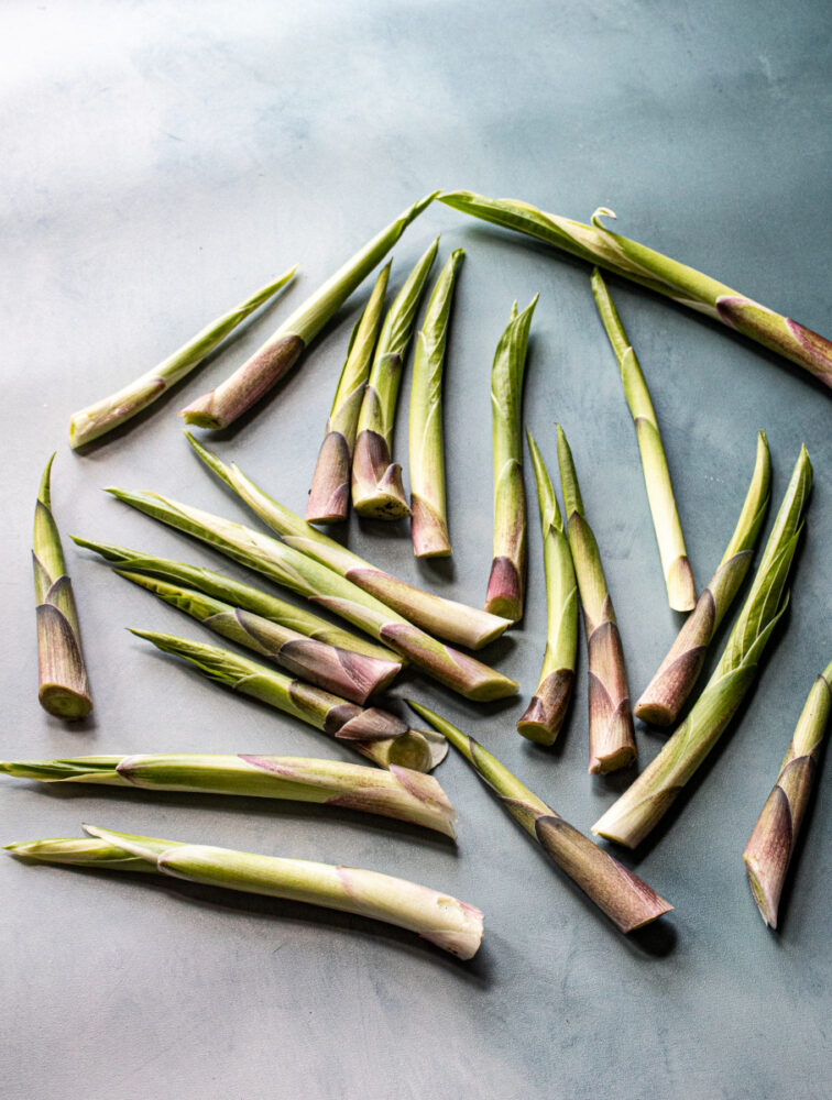 Hosta shoots